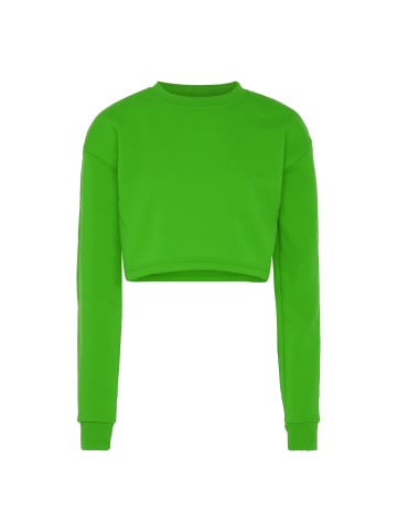 NALLY Sweatshirt in Saftiges Grün