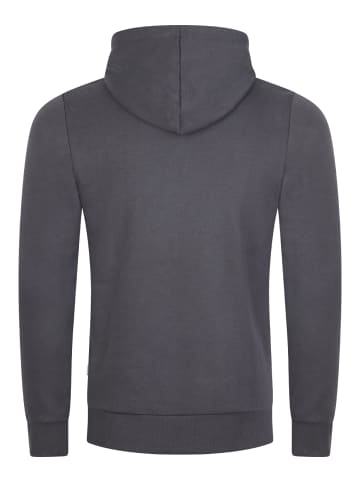 Jack & Jones Pullover JJEADRIAN in Grau