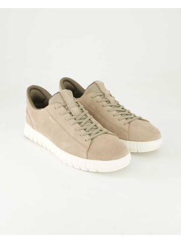 Geox Sportliche Schnürschuhe in Beige