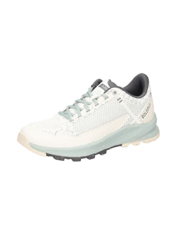 DOLOMITE Schnürschuh in beige