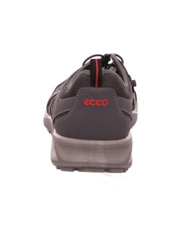 Ecco Sneaker in grau