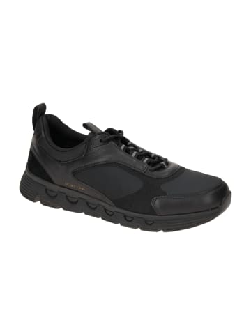 Geox Sportliche Schnürschuhe in Schwarz