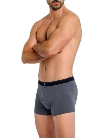 Haasis Bodywear 5er-Set: Pants in Carbon