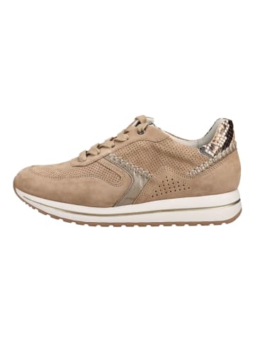 Gabor Sneaker Sand