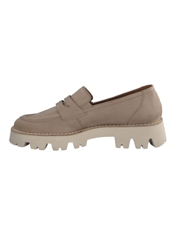 Paul Green Slipper in Beige