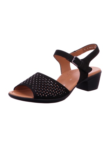 ara Komfort Sandalen in Schwarz