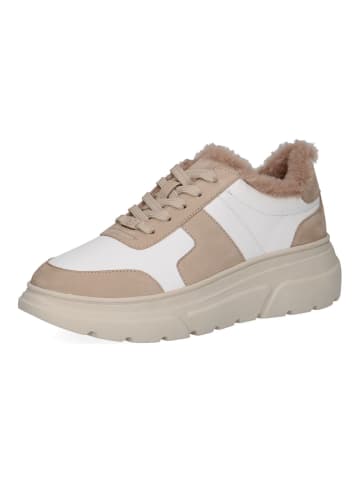 Caprice Sneaker in Weiß/Beige