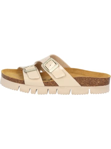 Palado Plateau-Pantoletten Arrila PL in Beige Lack