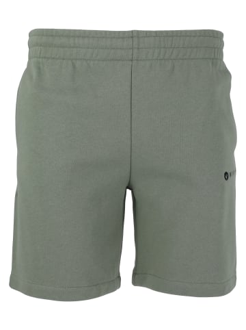 Virtus Shorts Hotown in 3158 Smoked Sage