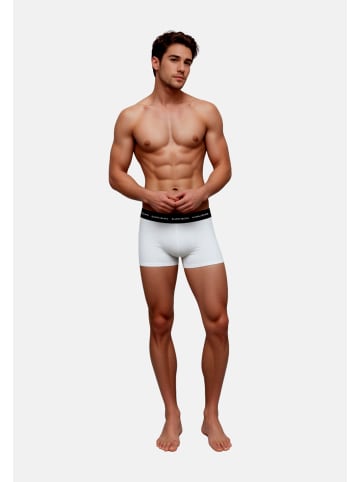 Björn Borg Boxershorts in mehrfarbig