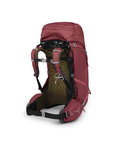 Osprey Aura AG 50 Women M/L - Trekkingrucksack 80 cm (berry sorbet red) in berry sorbet red