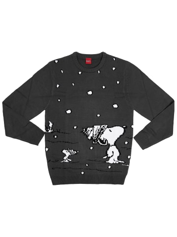 The Peanuts Winterpullover- Snoopy in grau