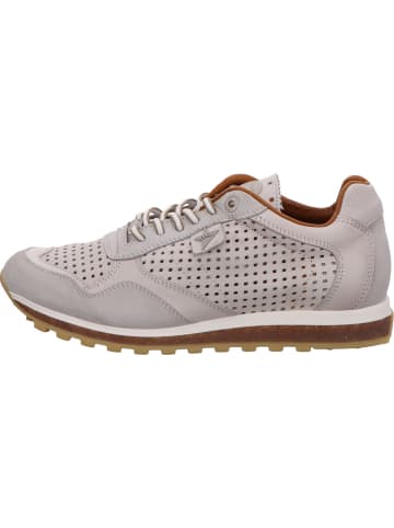 Cetti Schnürschuh in grau