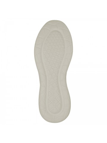 Skechers Footwear Sneaker Lattimore in Beige