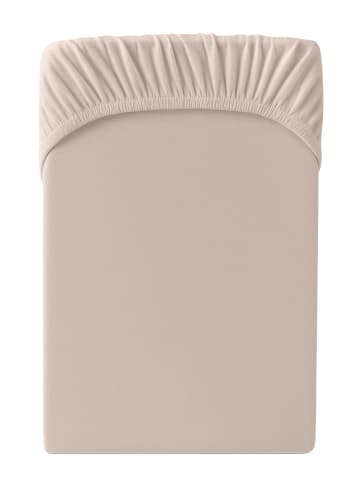 Cats Collection Spannbetttuch Edel-Jersey in basalt