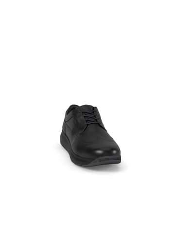 Joya Schnürschuhe Paso Fino III in Black