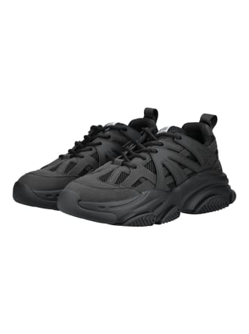 Steve Madden Sneaker in Schwarz