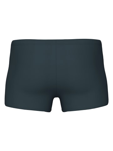 Arena Basic Swim Short in Anthrazit