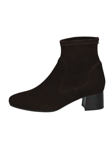 PETER KAISER Stiefelette in Dunkelbraun