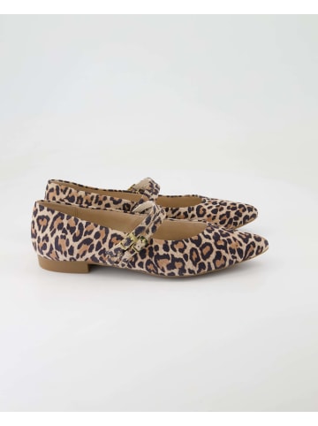Paul Green Ballerinas in Braun