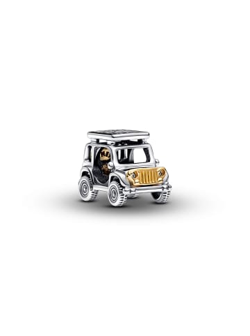 Pandora Charm Bicolor