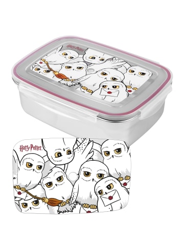Harry Potter Harry Potter Edelstahl Brotdose Hedwig Lunchbox Metall Butterbrotdose in grau
