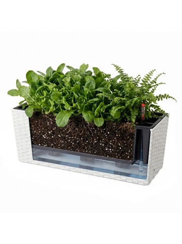 relaxdays Balkonkasten "Rattan" mit Halterung in Weiß - (B)50 x (H)19 x (T)19 cm