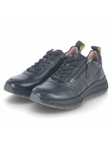 SALAMANDER Schnürhalbschuh in schwarz
