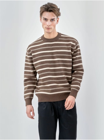 TeeShoppen Pullover Striped in BROWN