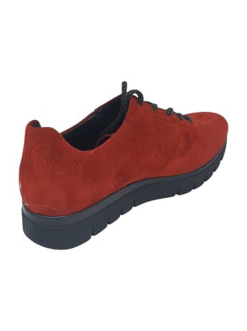Semler Komfort Schnürschuhe in Rot