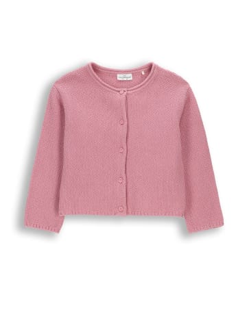 Coccodrillo Strickjacke in rosa