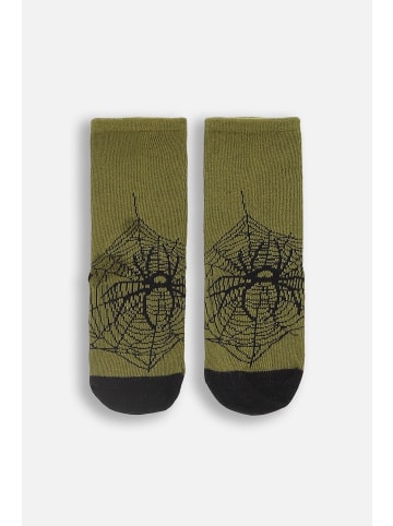 Coccodrillo Socken in khaki