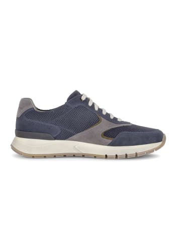 Gabor Sneaker low in blau