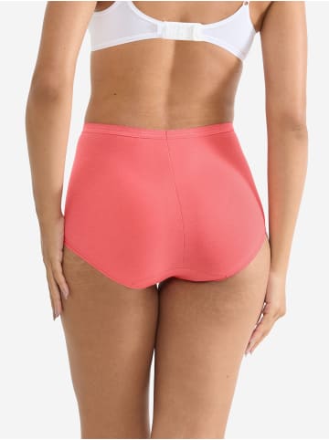 Sloggi Maxislip Originals Basic in RED - DARK COMBINATION