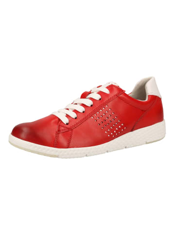 Marco Tozzi Sneaker in Rot/Weiß