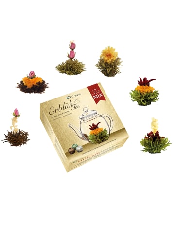 Creano MIXED 6er Box Teeblumen Grüner/Weißer/Schwarzer Tee
