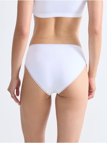 Sloggi Tai-Slip Everyday in MULTIPLE COLOURS 5