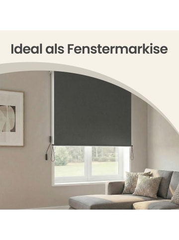SONGMICS Seitenmarkise Sheld in Rauchgrau - (B)250 x (H)160 cm