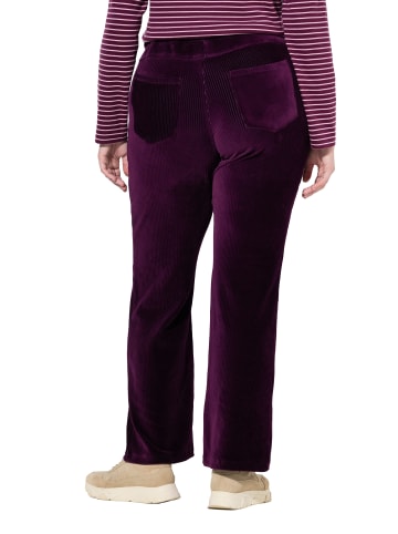 Ulla Popken Schlupfhose in waldbeere