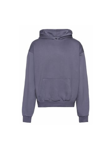 Rocawear Hoodie "Rocawear Hoody Highschool" in Blau
