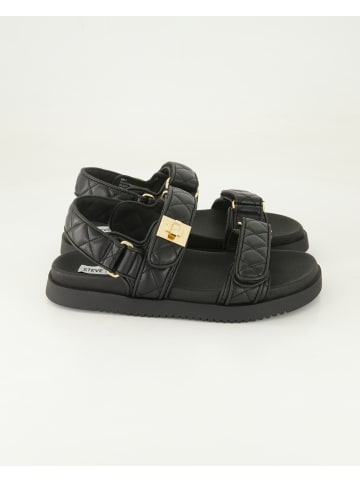 Steve Madden Sandalen in Schwarz