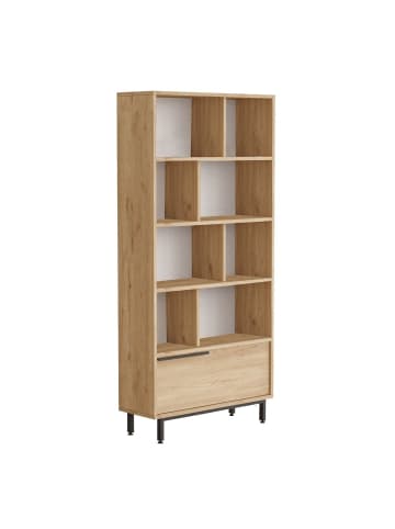 CALICOSY Bücherregal 956LCS3442 in Dunkles Holz - (W) 83,9  x (H) 175,6  x (L) 29,5  cm