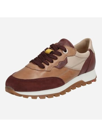 LLOYD Sneaker für Damen in braun