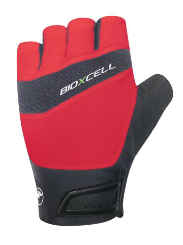 Chiba BioXCell Pro - Radhandschuhe kurz,