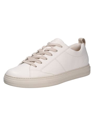 Paul Green Sneaker in beige