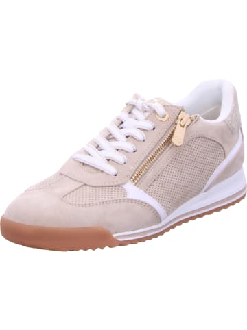 Marco Tozzi Schnürhalbschuh in beige