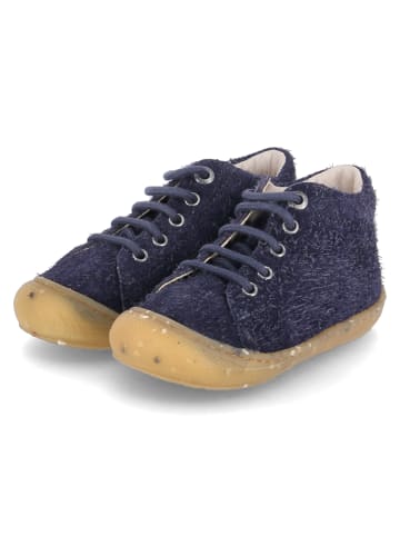 Naturino Schnürschuhe COCOON  in Blau