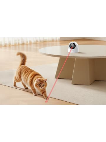 Rojeco Interaktives Laser-Tierspielzeug für Katzen & Hunde