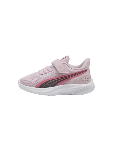 Puma Kinder Sneakers mit Klettverschluss Pounce AC inf Lila