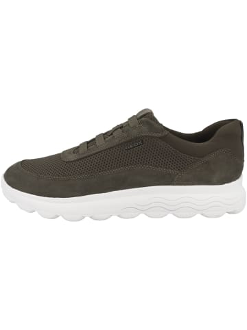 Geox Sneaker low U Spherica B in gruen